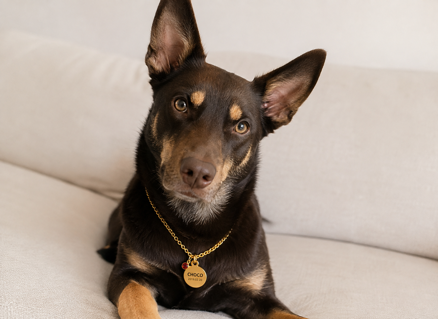 Forever Name Necklace | Personalised Pet Name & Birthstone